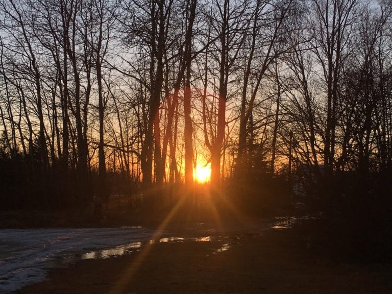 Sunset at Palmer Folk School, Palmer Alaska