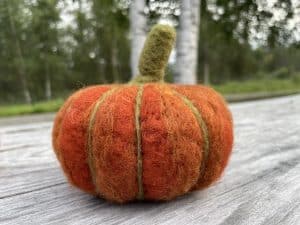 Needle felted pumpkin.